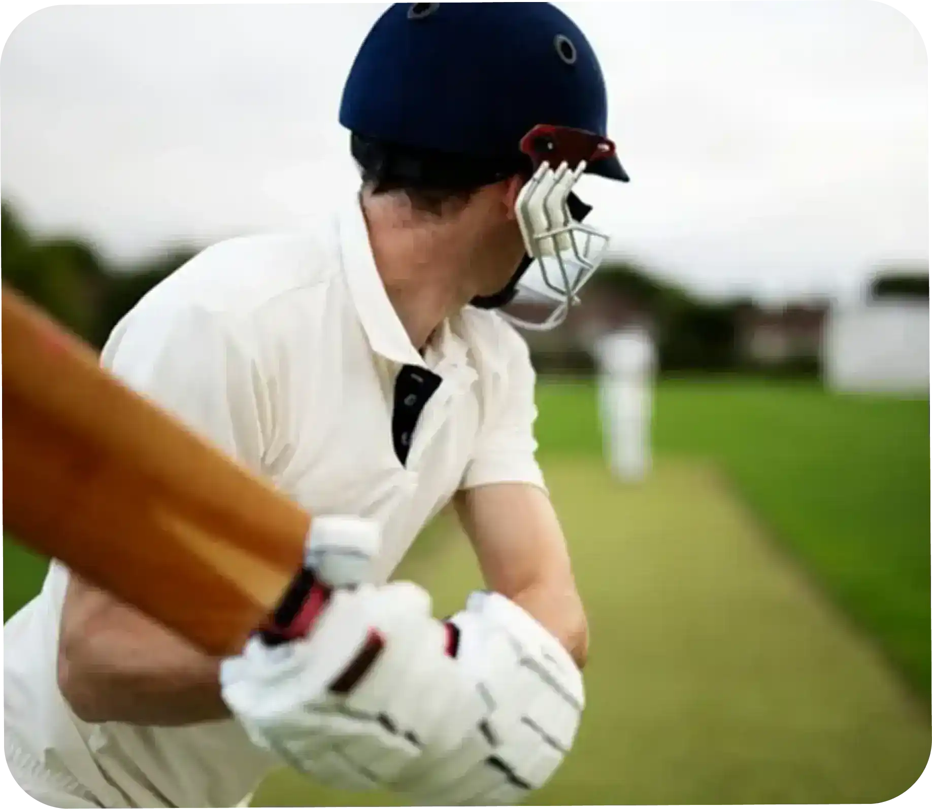 Cricket Bet on Lotus 365 Betting