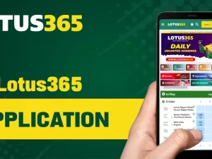 Ultimate Guide to Lotus365 India: Features and Games